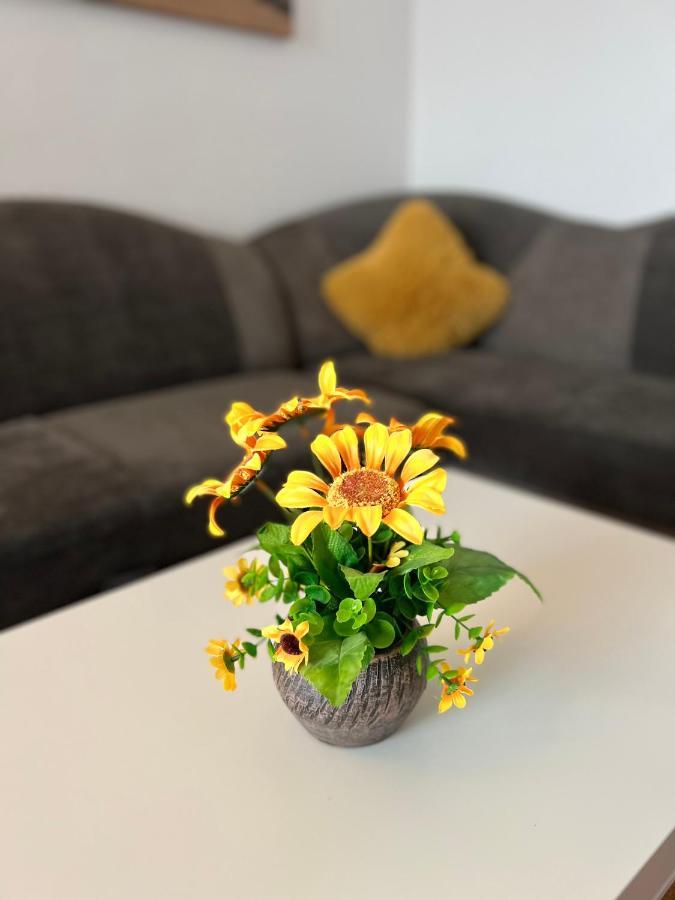 House51 Apartment Брашов Екстериор снимка