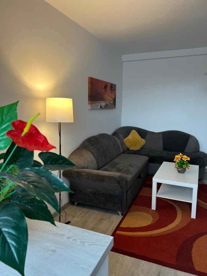 House51 Apartment Брашов Екстериор снимка