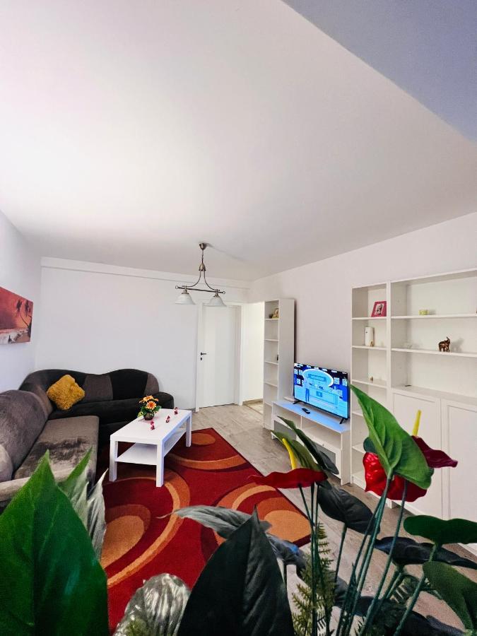 House51 Apartment Брашов Екстериор снимка